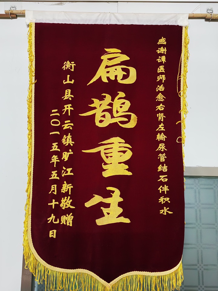 患者赠送谭丰良医师锦旗6